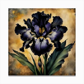 Purple Iris Canvas Print