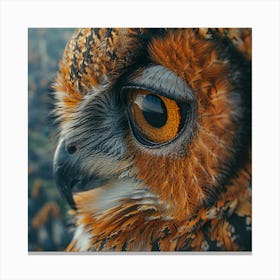 Owl Portrait Canvas Print