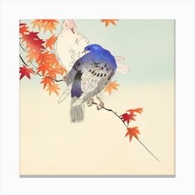 Pigeons On A Branch Canvas Print