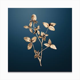 Gold Botanical Pink Clover on Dusk Blue n.0136 Canvas Print