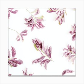 Purple Leaves On White Background Canvas Print