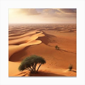Desert Landscape - Desert Stock Videos & Royalty-Free Footage 1 Canvas Print