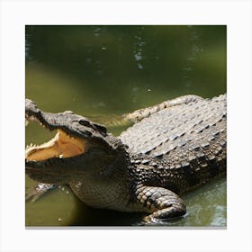 Crocodile Canvas Print