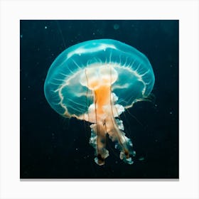 Jellyfish - Canvas Print