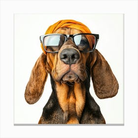 Dog Wearing Sunglasses 3 Canvas Print