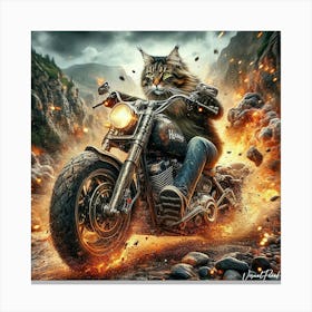 Maine Coon Fire Rider Canvas Print