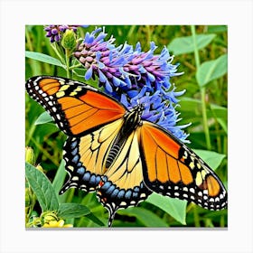 Butterflies Insect Lepidoptera Wings Antenna Colorful Flutter Nectar Pollen Metamorphosis (26) Canvas Print