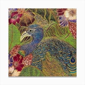 Peacock in Indian garden Canvas Print