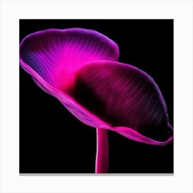 Purple Calla Lily Canvas Print