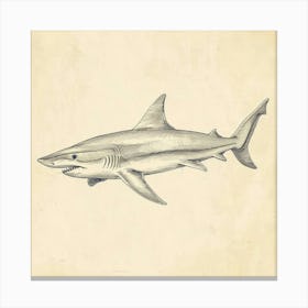 Blue Shark Vintage Illustration 1 Canvas Print