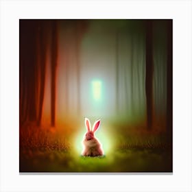 Follow the White Rabbit Canvas Print