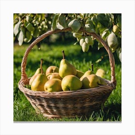 Pears In A Basket Canvas Print