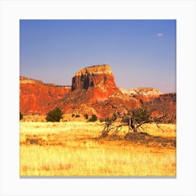 Gost Ranchcolor Canvas Print