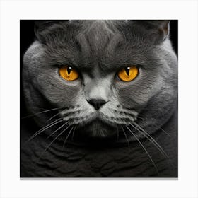 Whiskers in Focus: A Close-Up of a Cat's Face Canvas Print