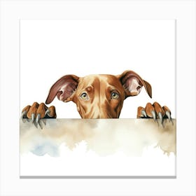 Dachshund 23 Canvas Print