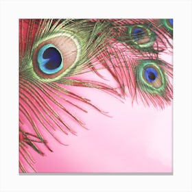 I've been thinking about you Canvas Print