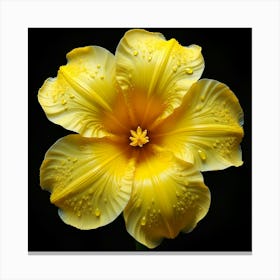 Yellow Lily 2 Canvas Print