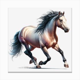 Horse Galloping 2 Canvas Print