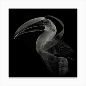 Toucan 12 Canvas Print