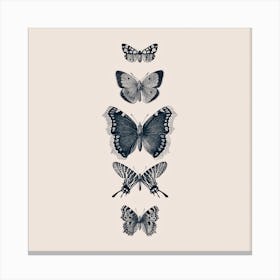 Inked Butterflies Beige Square Canvas Print
