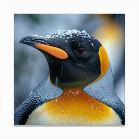 King Penguin 13 Canvas Print