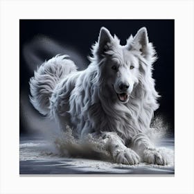 White Shepherd Dog Canvas Print