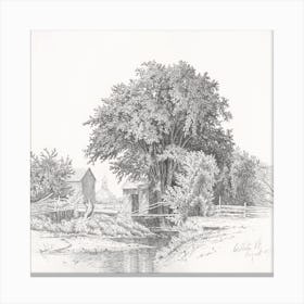 Tree By A Stream SKetch Canvas Print