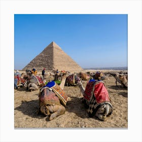 Camels In Front Of Pyramids Canvas Print