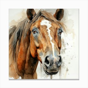 Portrait Of A Horse Canvas Print