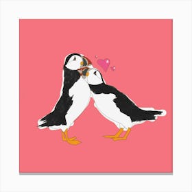 Puffins Kissing Canvas Print