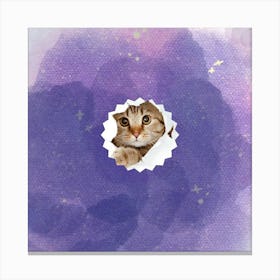 Cat Peeking Out Of Hole Canvas Print