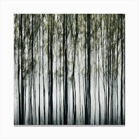 Trees In The Fog Canvas Print