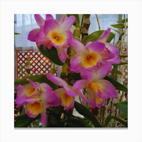 Orchids 36 Canvas Print