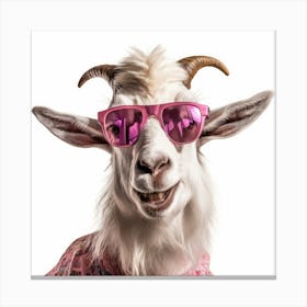 Goat In Sunglasses 1 Canvas Print