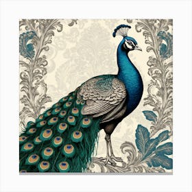 Peacock 3 Canvas Print