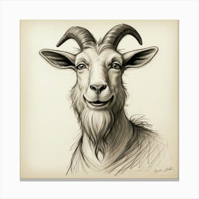 Goat Head 25 Canvas Print