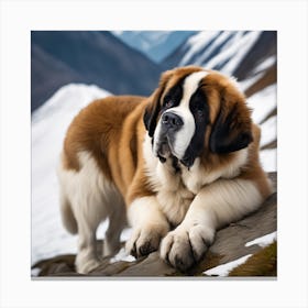 St Bernard Dog 22 Canvas Print