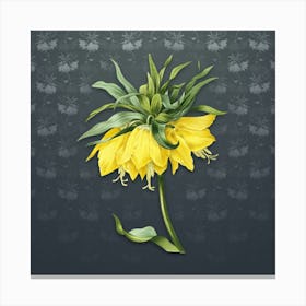 Vintage Kaiser's Crown Botanical on Slate Gray Pattern Canvas Print