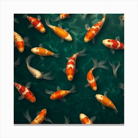 Koi Fish Background Canvas Print