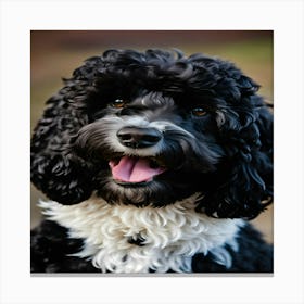 Black Poodle Canvas Print