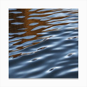 Reflections In Water Canvas Print
