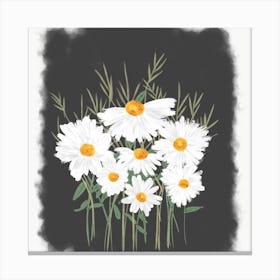 Daisies Canvas Print