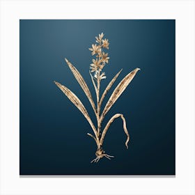 Gold Botanical Wachendorfia Thyrsiflora on Dusk Blue n.2521 Canvas Print