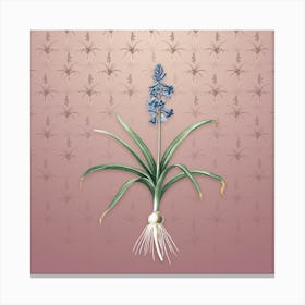 Vintage Scilla Patula Botanical on Dusty Pink Pattern Canvas Print