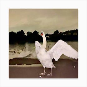 Swans In A Pond Canvas Print