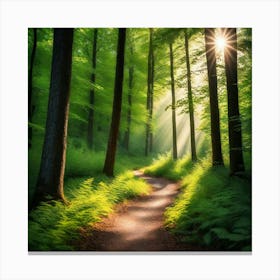 Path Through The Forest 5 Canvas Print