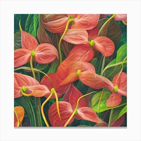 Anthurium Flowers Canvas Print