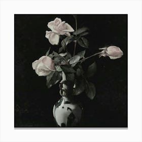 Roses 36 Canvas Print