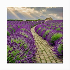 Lavender Fields In France Canvas Print