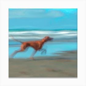 Dog Running On The Beach 3 Canvas Print